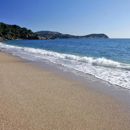 A Deux Pas De La Plage De Sable Le Pradet Ngoại thất bức ảnh