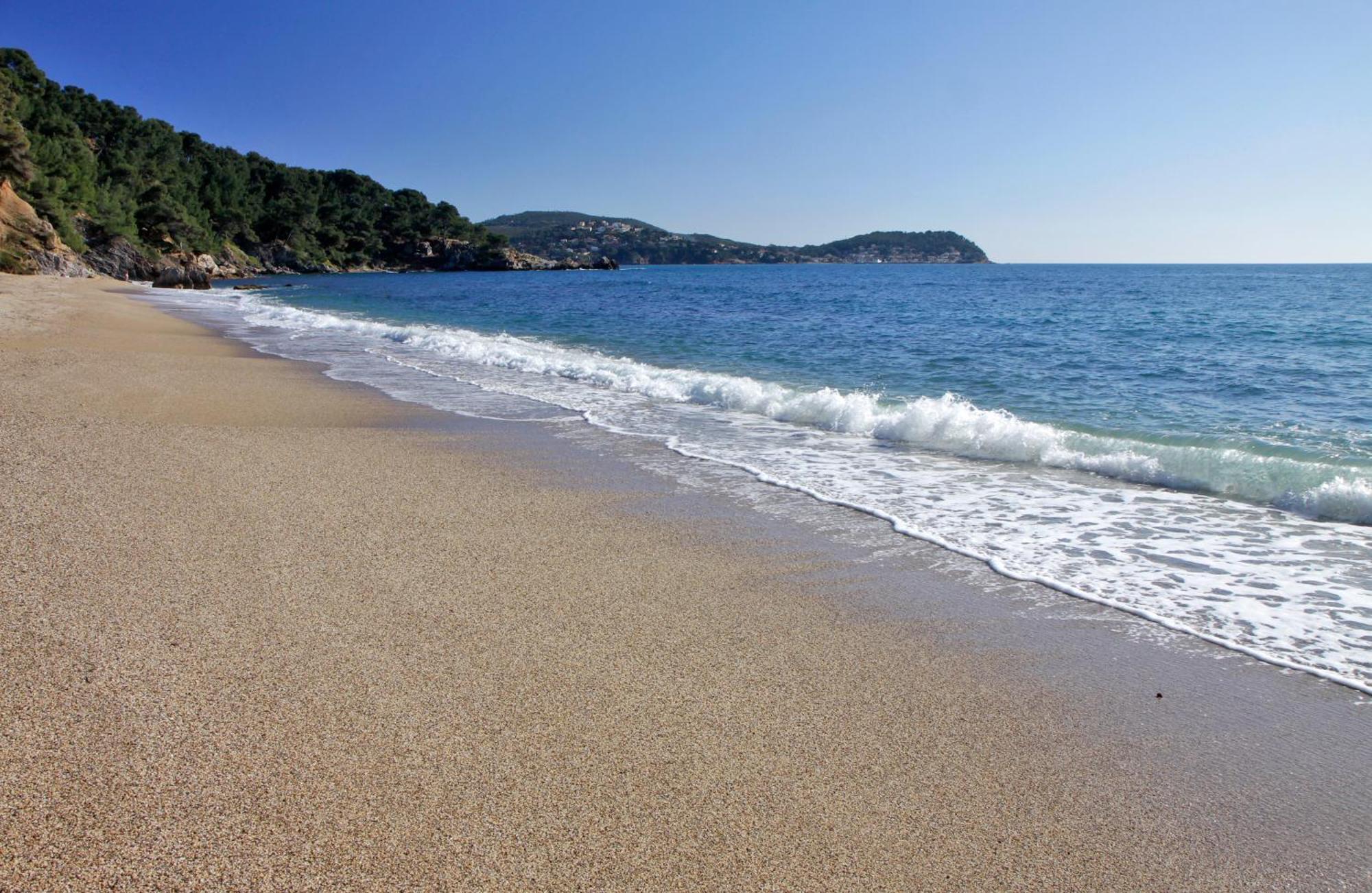 A Deux Pas De La Plage De Sable Le Pradet Ngoại thất bức ảnh